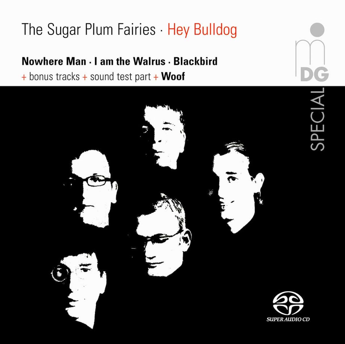 Bild von Hey Bulldog - The Sugar Plum Fairies